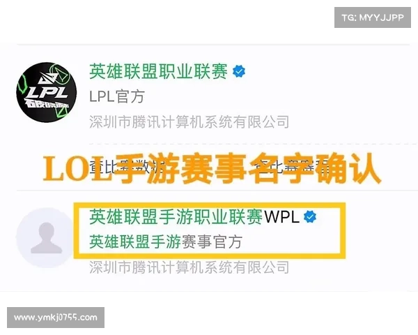 如何全面评估JDG战队新阵容变化对整体实力与未来表现的影响