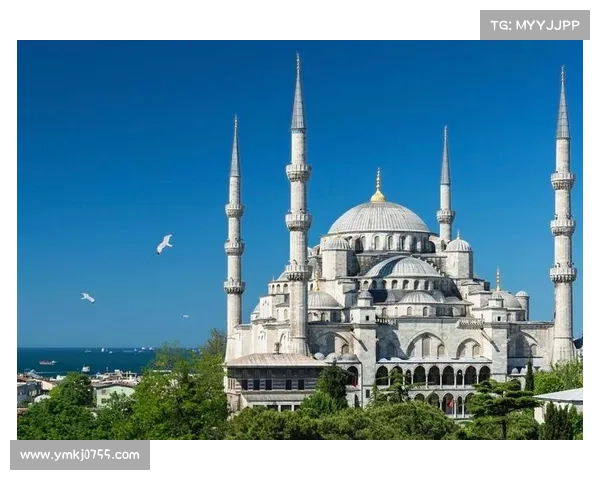 土耳其比赛热潮全面解析:赛事背景、发展趋势与观赛指南